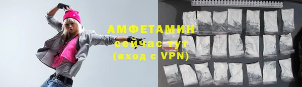 мет Алексин
