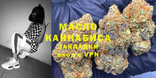 мет Алексин