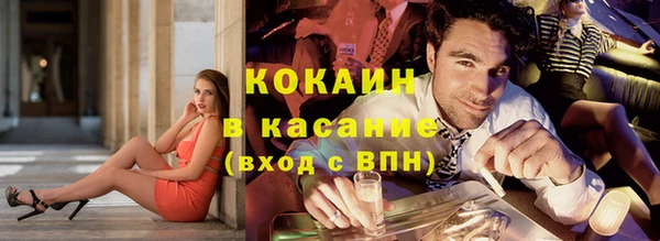 мет Алексин